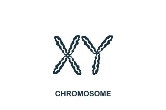 Chromosome Icon: A Versatile Bioengineering Symbol